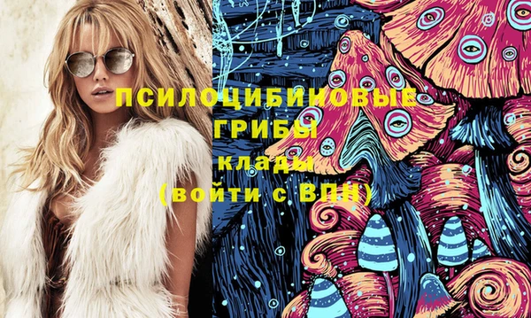 эйфоретик Вязьма