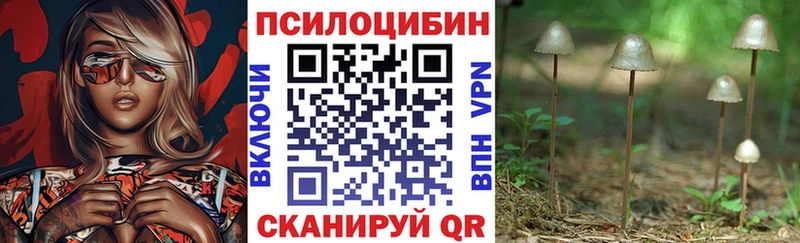 Галлюциногенные грибы Magic Shrooms  Купить  Рошаль 